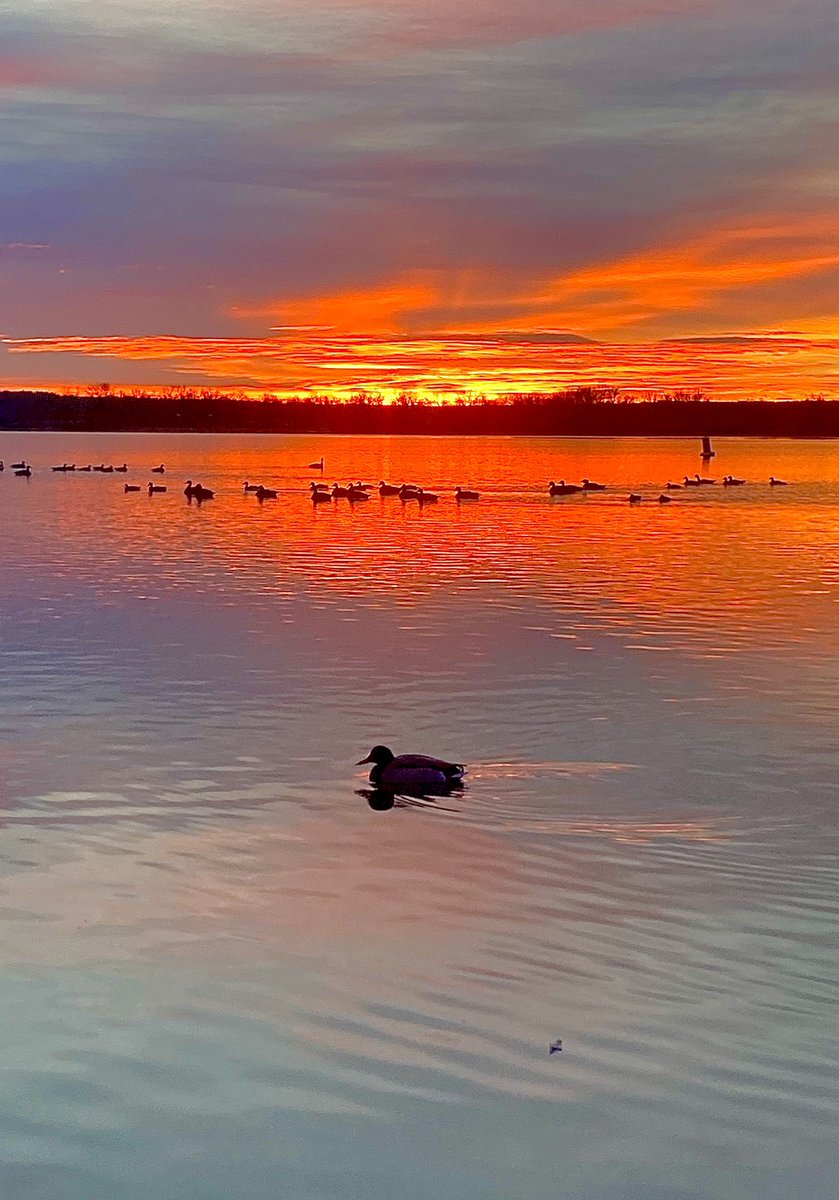 BianchiWeather <a href="/chris_tomer/">Chris Tomer</a> <a href="/crystalegger/">Crystal Egger</a> <a href="/theWXwoman/">Danielle Grant</a> <a href="/EricaLopezTV/">Erica Lopez</a> <a href="/KylieBearseWX/">Kylie Bearse</a> <a href="/LaurenCBS4/">Lauren Whitney</a> <a href="/MattMakens/">Matt Makens, Makens Weather</a> <a href="/BelenNBCLA/">Belen De Leon</a> <a href="/CReppWx/">Cory Reppenhagen</a> Taco Tuesday dawns playing “Duck, Duck, Goose” at Cherry Creek Resv