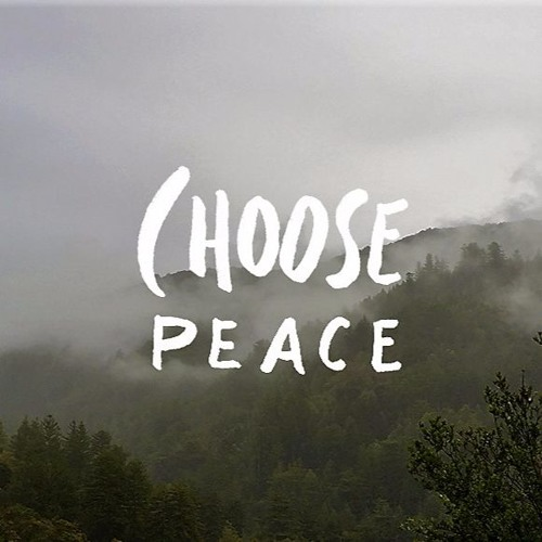 QuophiKelvin's tweet photo. With only 11 days left until the Election, let's remember that peace is invaluable. Choose #Peace, choose #Unity, and let's work together towards a brighter future. 
#IPledgeForPeace #YouthPeaceSecurity #IChoosePeace #GhanaDecides #SDGs16 https://t.co/S4f0btWR4D