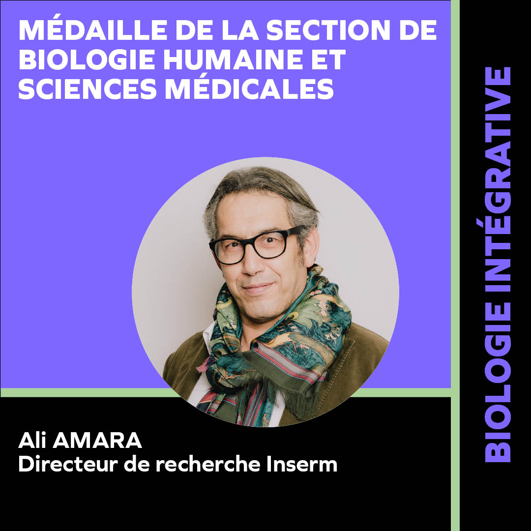 EN DIRECT : REMISE DES PRIX

✨Félicitations à Ali Amara, directeur de recherche <a href="/Inserm/">Inserm</a>  et chef de l'équipe « Biologie des Virus Emergents » à l'Institut de Recherche Saint-Louis qui reçoit la médaille de la section de Biologie humaine et sciences médicales !