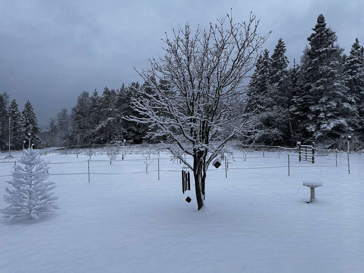 David Nordquist (@david_nordquist) on Twitter photo 