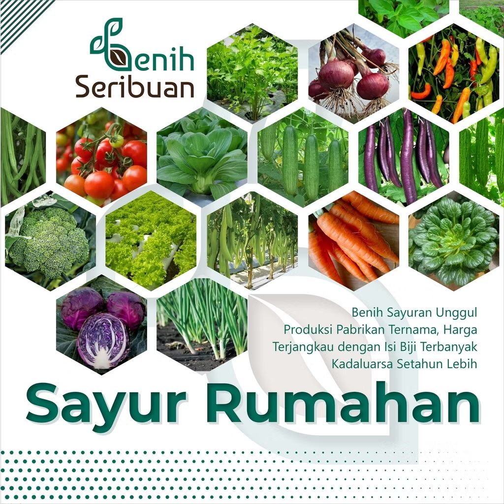 alisubadra's tweet photo. Cek BENIH SERIBUAN - Aneka Bibit Sayur Sayuran Paket Lengkap Varian Unggulan dengan harga Rp2.750. Dapatkan di Shopee sekarang! https://t.co/JiCIPJ3fVx https://t.co/F7sHcYdZIX
