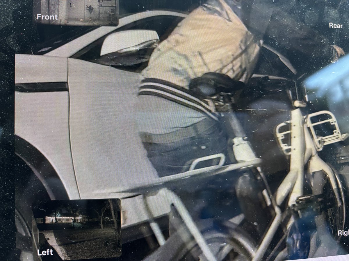 Curtis Rogers 🚲 tweet media