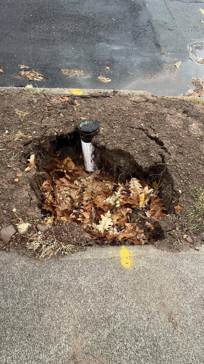 The Righteous Capitalists tweet media