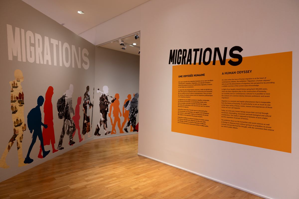 Musée de l'Homme tweet media