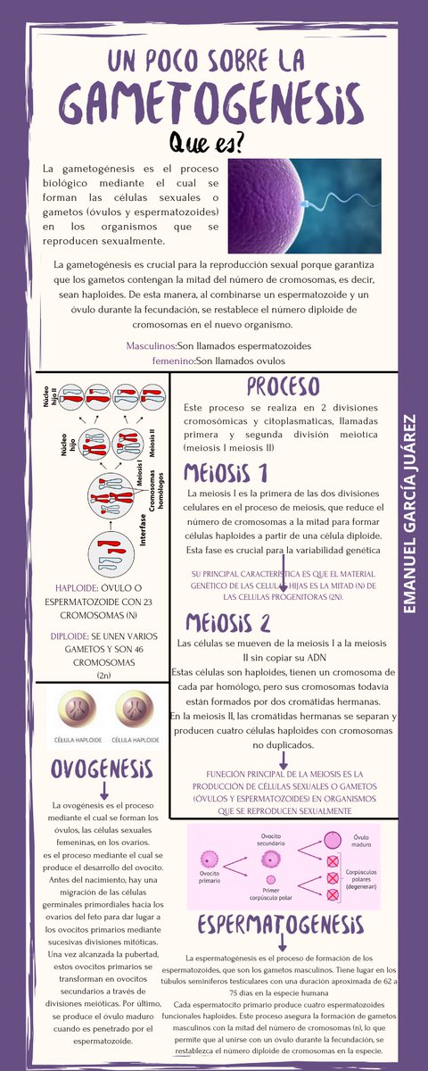 EmanuelGarubj's tweet photo. #ubj #marielvys #embriología https://t.co/37hFjzuedq