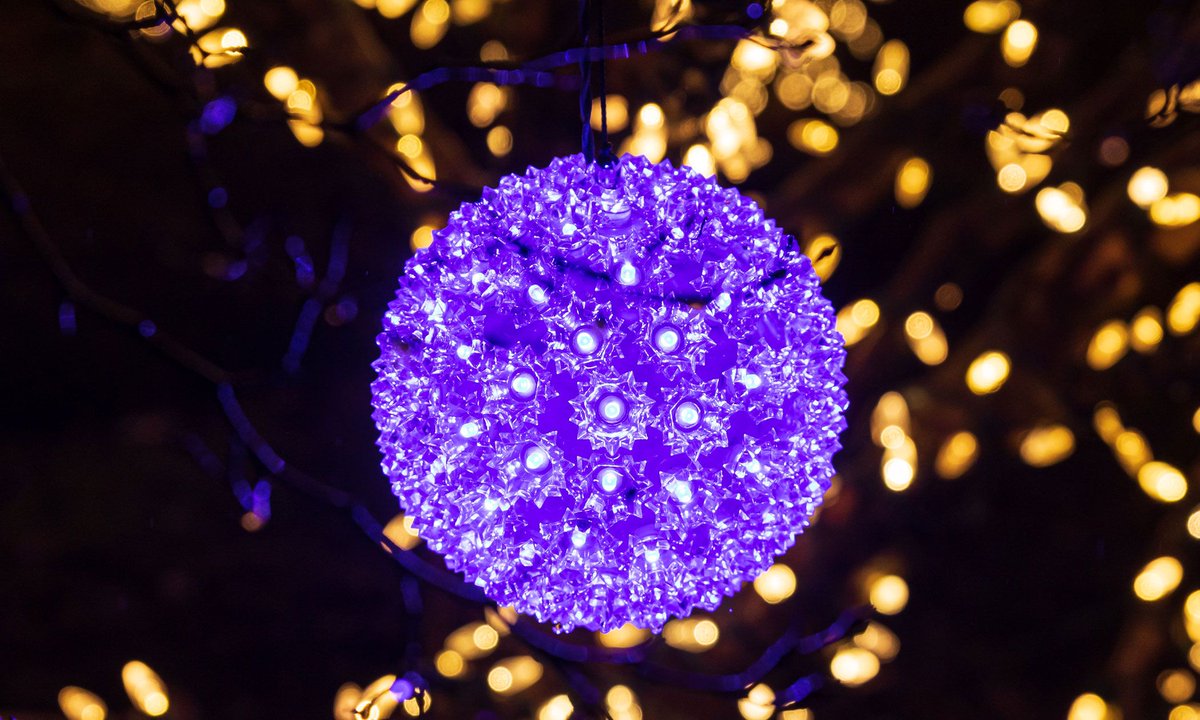 Phipps Holiday Magic has dazzling displays of color both inside and outside!🤩

Our Winter Light Garden, fills our outdoor spaces with festive sparkling lights in vivid shades that are sure to awe guests of all ages.✨ 

More: phipps.conservatory.org/calendar/detai…

Photo © Phil Johnson II