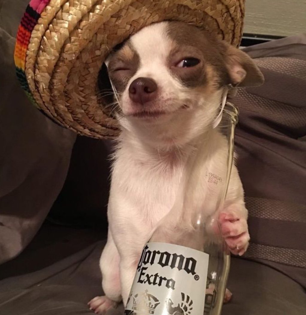 🍻