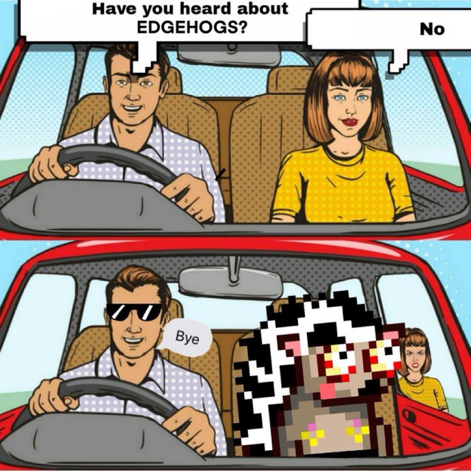 solanaedgehogs's tweet photo. Memeable 🦔 https://t.co/TrAh30GQEY