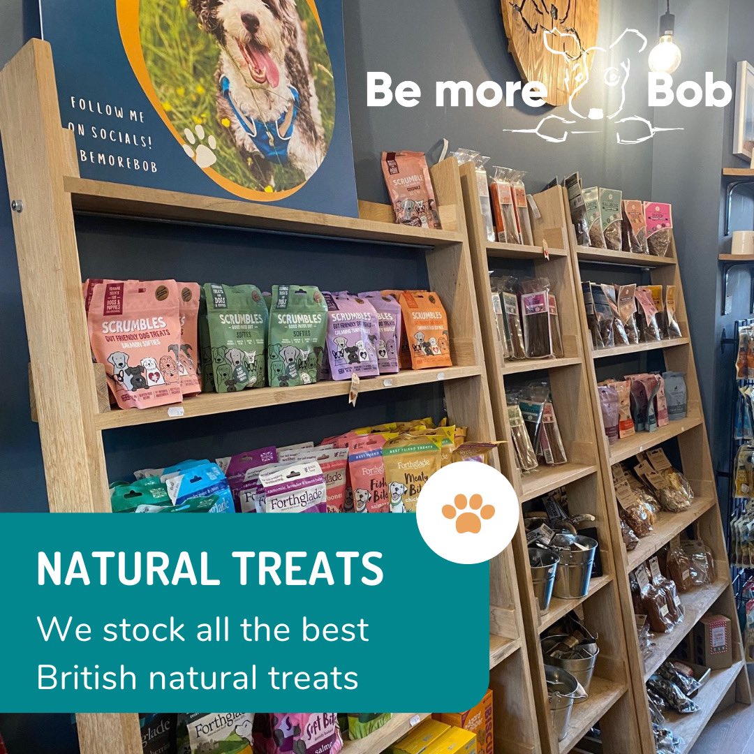 bemorebob2's tweet photo. We posted 6600 leaflets around Cheltenham last week and put a code on them so we could tell if anyone popped in to see us. 
We’ve not had any new visitors. 
We often get people say ‘you should advertise more!’ 
We do, but, it’s not that easy - and we know that. 
It’s a battle to get people through the door. 
Maybe you know/like a small business in your town. Maybe you could visit them this week and grab a little something!
It would make a lot of difference, I promise ❤️🐾