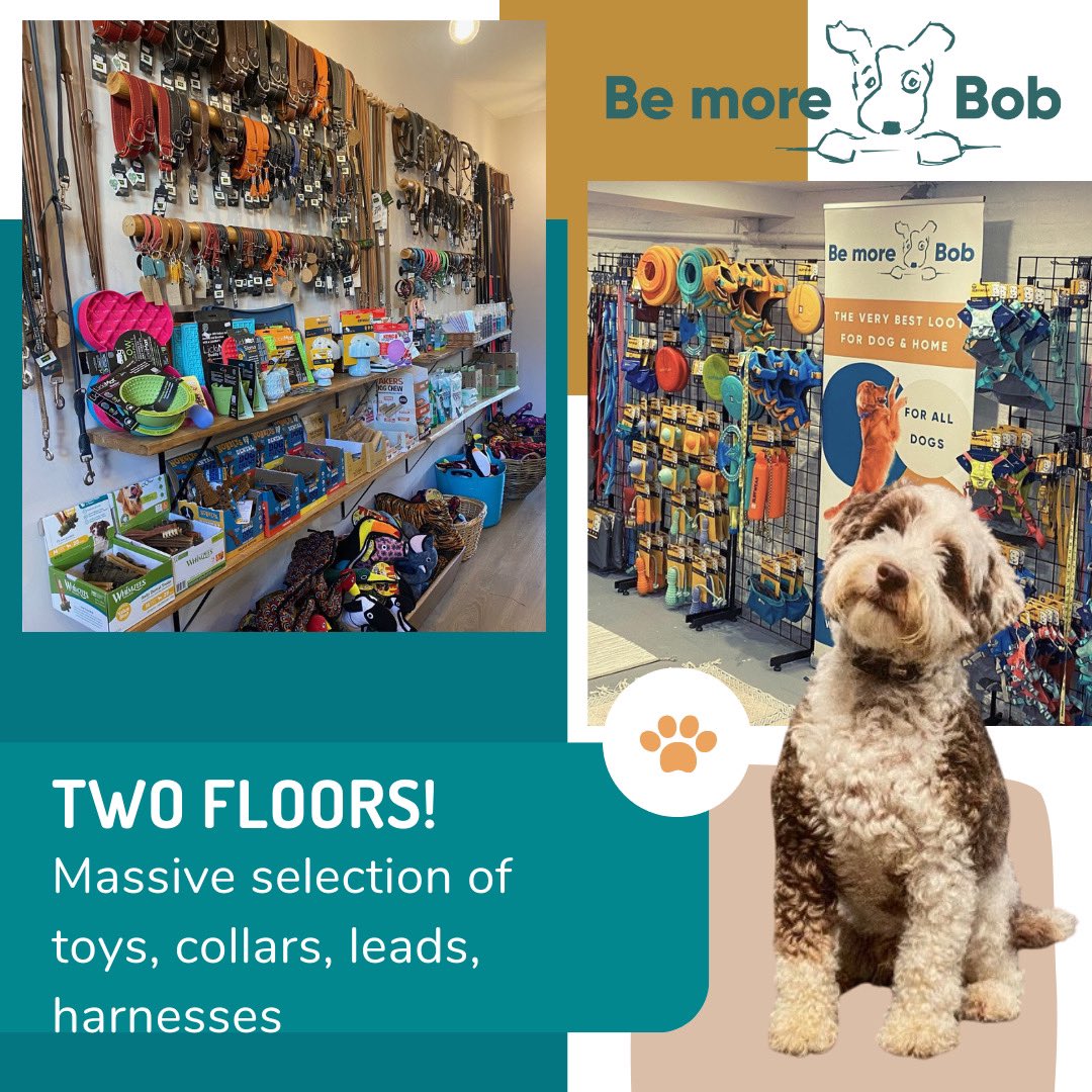 bemorebob2's tweet photo. We posted 6600 leaflets around Cheltenham last week and put a code on them so we could tell if anyone popped in to see us. 
We’ve not had any new visitors. 
We often get people say ‘you should advertise more!’ 
We do, but, it’s not that easy - and we know that. 
It’s a battle to get people through the door. 
Maybe you know/like a small business in your town. Maybe you could visit them this week and grab a little something!
It would make a lot of difference, I promise ❤️🐾