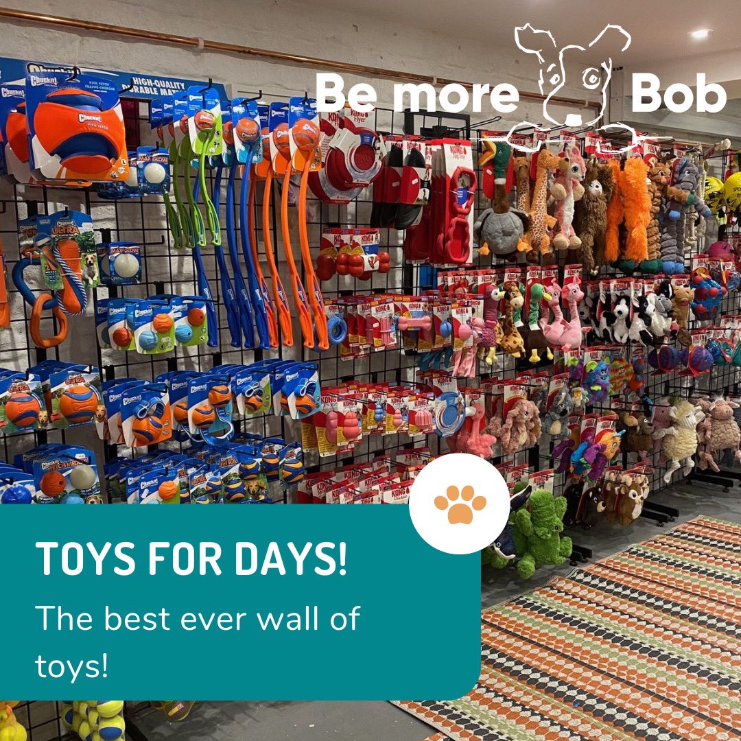 bemorebob2's tweet photo. We posted 6600 leaflets around Cheltenham last week and put a code on them so we could tell if anyone popped in to see us. 
We’ve not had any new visitors. 
We often get people say ‘you should advertise more!’ 
We do, but, it’s not that easy - and we know that. 
It’s a battle to get people through the door. 
Maybe you know/like a small business in your town. Maybe you could visit them this week and grab a little something!
It would make a lot of difference, I promise ❤️🐾