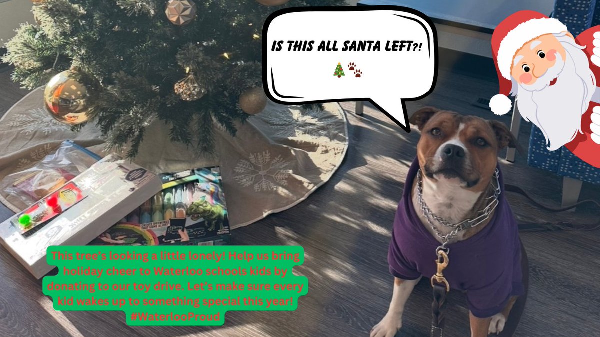 🎁🎄 TOY DRIVE ALERT FROM ICHO! 🎄🎁

Hi, friends! It’s me, Icho the dog! Santa needs your help—this tree is looking way too empty! We’re collecting toys to make sure every kid in need in Waterloo wakes up with something special this year.

Here’s how you can help:
💰 Want to