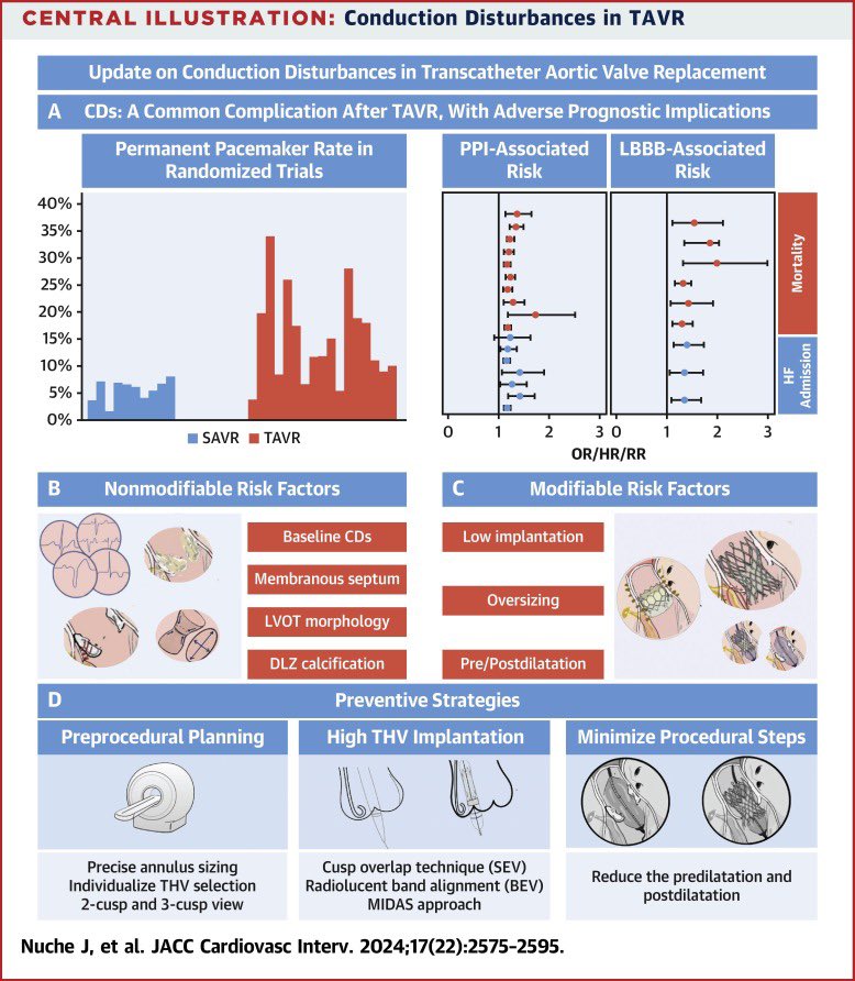 Delighted to share our latest published paper about conduction disturbances after TAVR in #JACCInterventions , led by the great <a href="/JorgeNuche/">Jorge Nuche</a> 👏🏽😊

sciencedirect.com/science/articl…

<a href="/JACCJournals/">JACC Journals</a> <a href="/IUCPQ/">IUCPQ-ULaval</a>