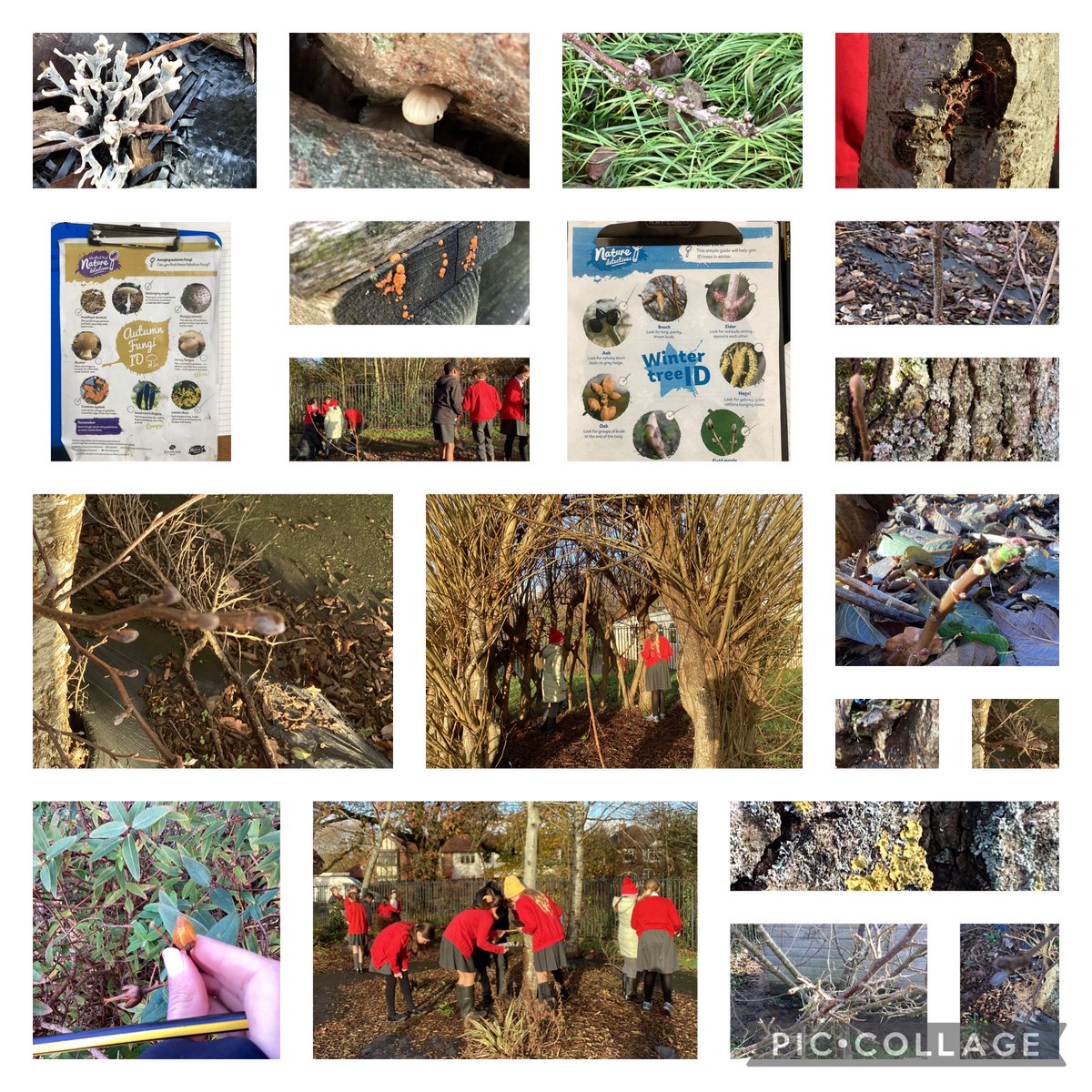 Mrs Singleton tweet media