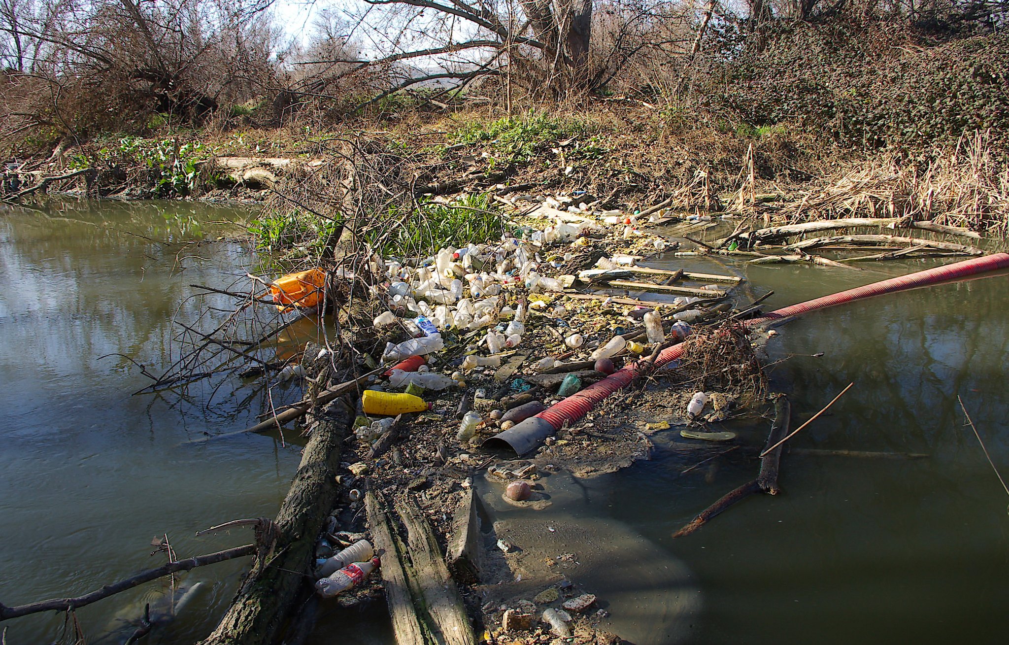 Foto cedida por Verdes-Equo