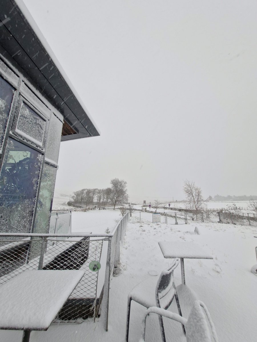 Check out the snow we got at The Sill at the weekend! We are definitely feeling the Christmas spirit, but something is missing...

A Christmas craft activity!

For more information and to book our Christmas crafts, visit the 'What's On' page on our website.