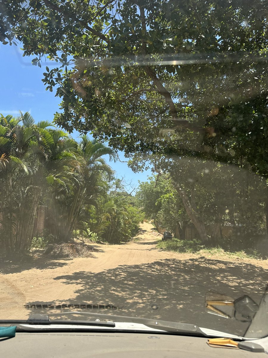 Lívia Bember tweet media