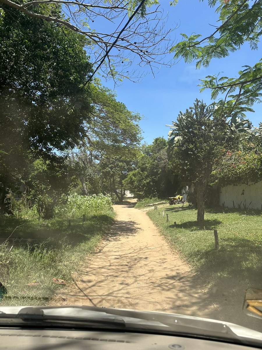 Lívia Bember tweet media