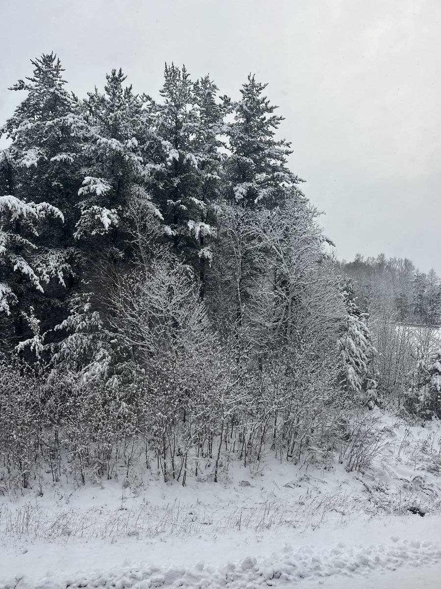 esosair_'s tweet photo. Sudbury winter https://t.co/QrChDlCiId
