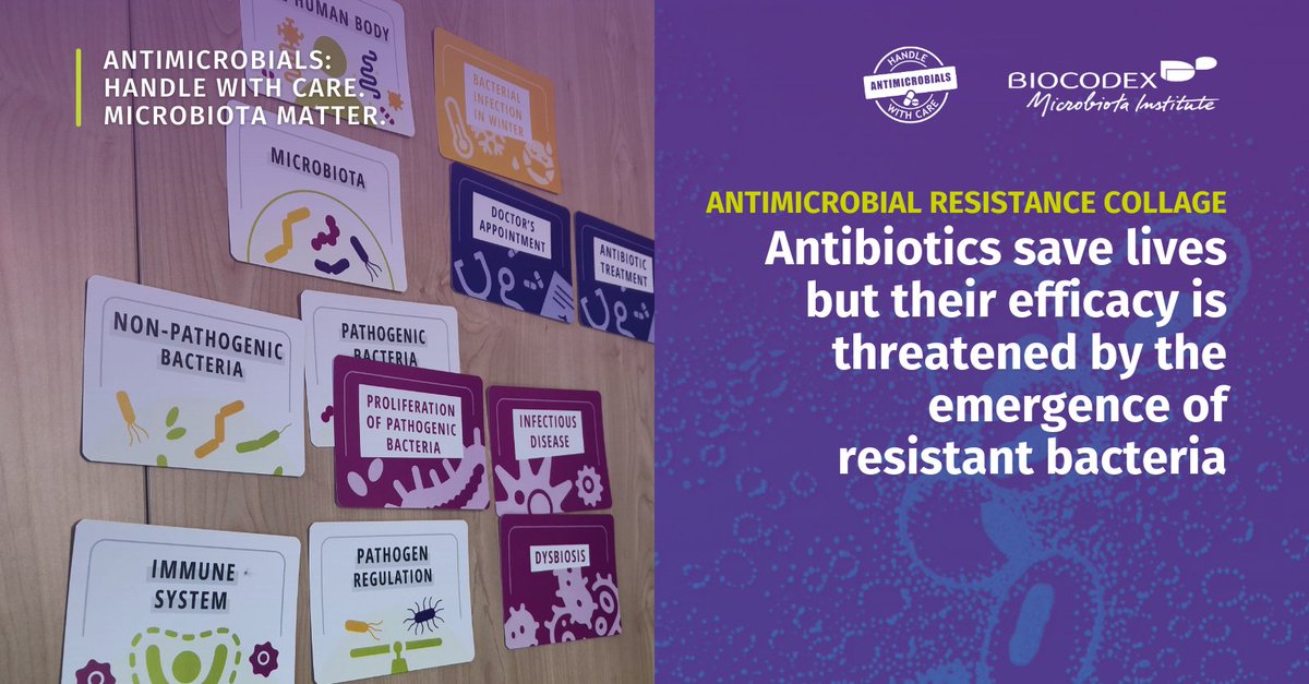 Microbiota_Inst's tweet photo. World #AMR Awareness Week just ended!

This campaign allowed the Institute to:

• Educate on #AntimicrobialResistance
• Engage with healthcare professionals
• Create a helpful collage on AMR

Learn about our commitment to this global fight in the collage below and stay tuned👇 https://t.co/VNiNIFa1LD