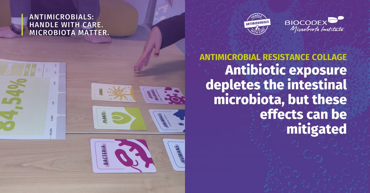 Microbiota_Inst's tweet photo. World #AMR Awareness Week just ended!

This campaign allowed the Institute to:

• Educate on #AntimicrobialResistance
• Engage with healthcare professionals
• Create a helpful collage on AMR

Learn about our commitment to this global fight in the collage below and stay tuned👇 https://t.co/VNiNIFa1LD