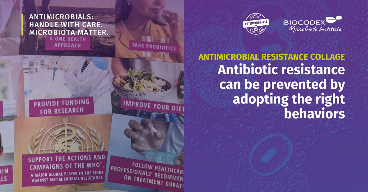 Microbiota_Inst's tweet photo. World #AMR Awareness Week just ended!

This campaign allowed the Institute to:

• Educate on #AntimicrobialResistance
• Engage with healthcare professionals
• Create a helpful collage on AMR

Learn about our commitment to this global fight in the collage below and stay tuned👇 https://t.co/VNiNIFa1LD