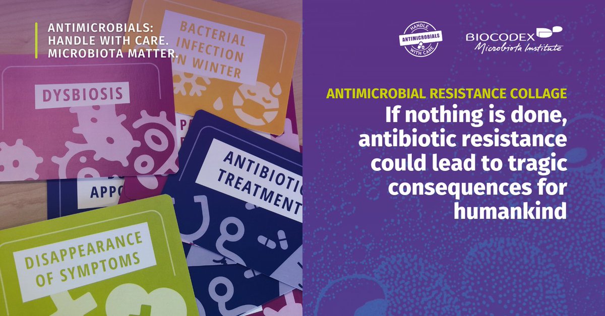 Microbiota_Inst's tweet photo. World #AMR Awareness Week just ended!

This campaign allowed the Institute to:

• Educate on #AntimicrobialResistance
• Engage with healthcare professionals
• Create a helpful collage on AMR

Learn about our commitment to this global fight in the collage below and stay tuned👇 https://t.co/VNiNIFa1LD