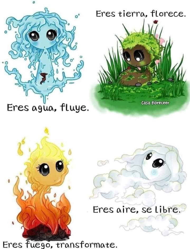 Jamie_1260's tweet photo. Me encanta! 🌬️💦🌳🔥
#Fluye #Florece
#Transformate #SeLibre https://t.co/i90aBhlBLO
