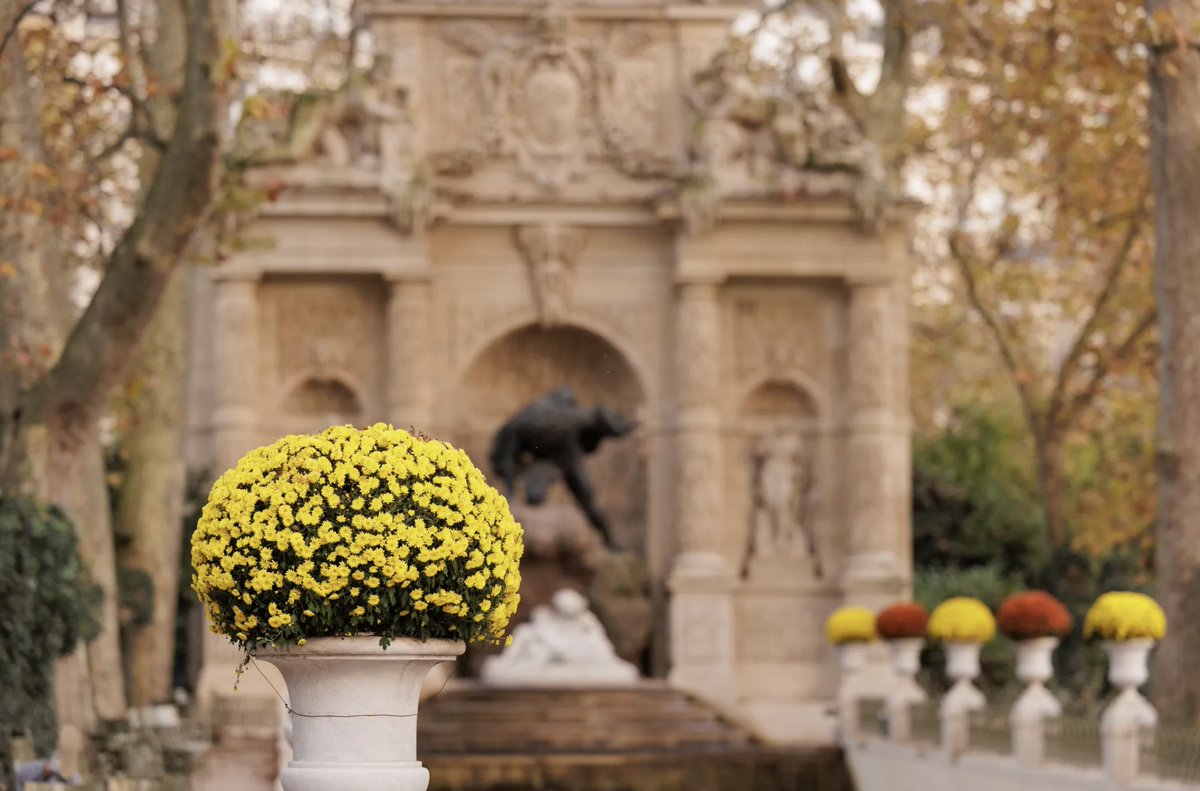 JardinLuco's tweet photo. La fontaine Médicis aux couleurs de l’automne 🌼 🍁 https://t.co/lO4iRC7Ntr