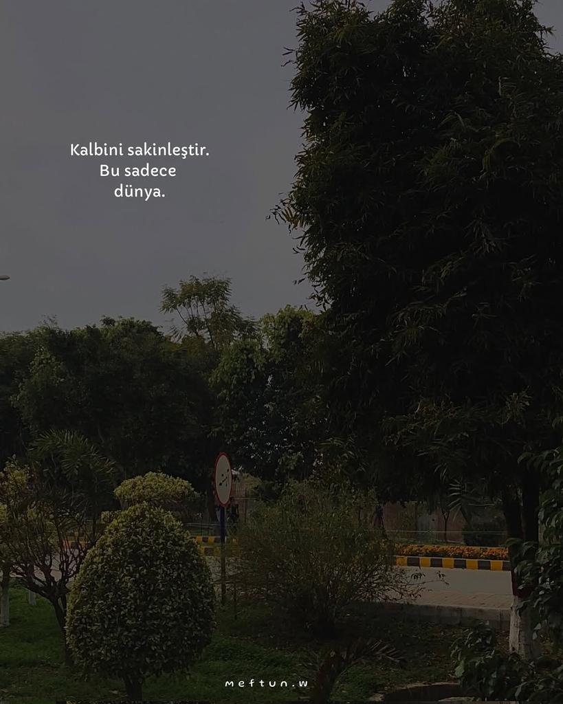 Kalbini sakinleştir.