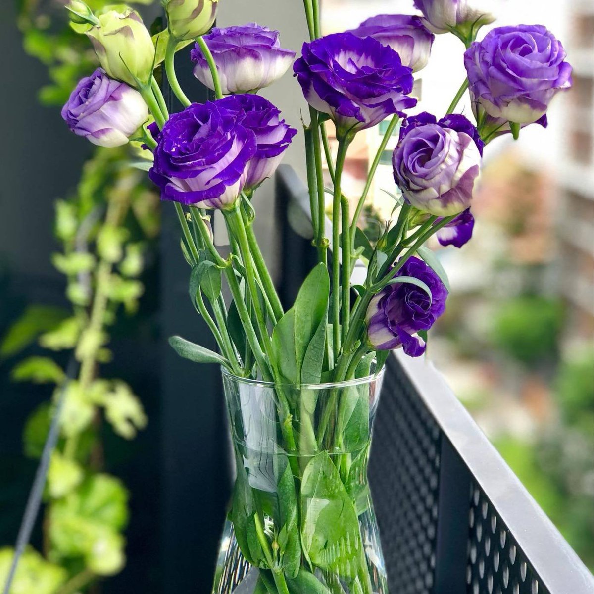 Dr. Kim Sung Sik (@kimbyung18) on Twitter photo 