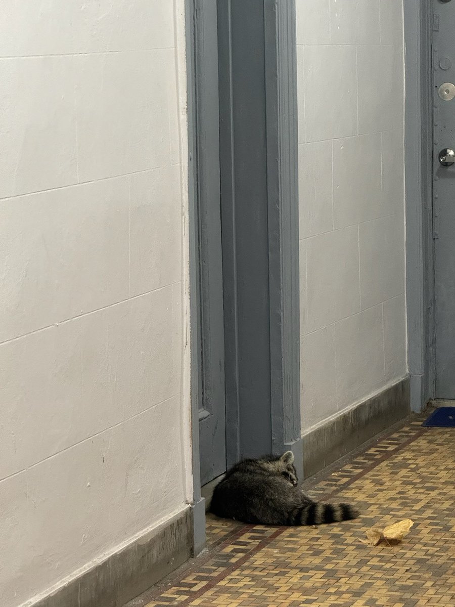 Here’s a new one for me. Someone takes issue with one of their neighbors and decided to send the message in a unique way. I probably can’t even evict for this in NJ.