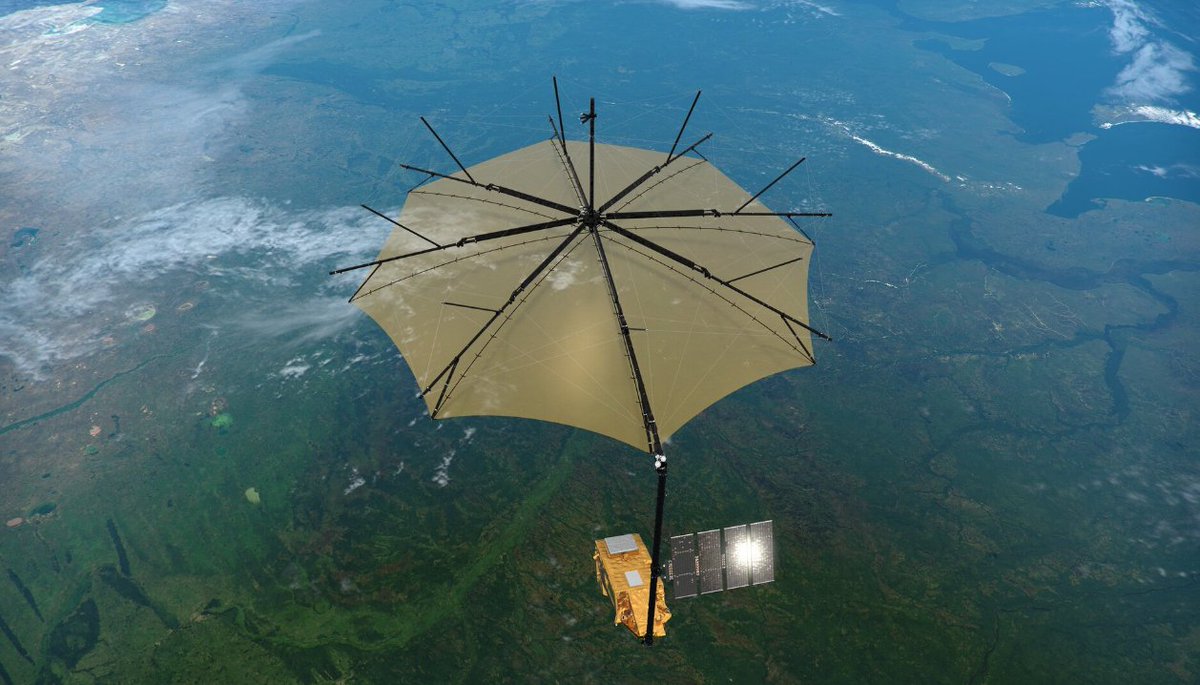 Bryony Collins tweet media