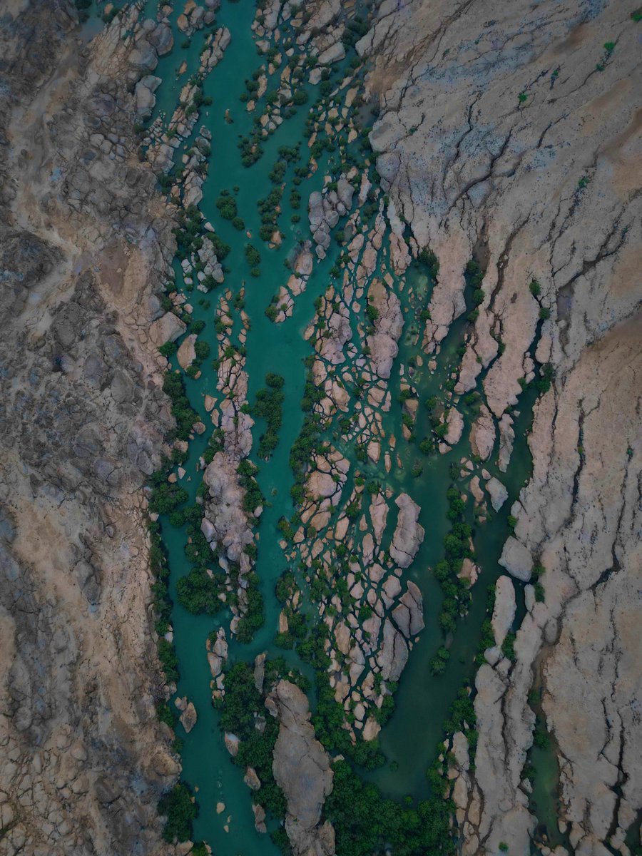 تشكيلة صخرية مائية نباتية تميز طبيعة جزيرة فرسان تدمج الوان الطبيعة والتوزيع الرباني لهذي الارض.،🏝️ A rocky, aquatic, and botanical formation that characterizes the nature of Farasan Island, combining the colors of nature and the divine distribution of this land. 
#تصويري