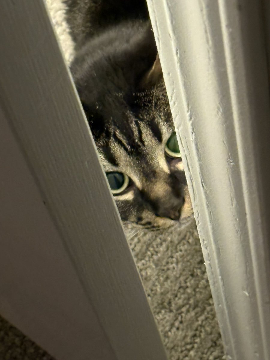 *peaks as you scroll by*