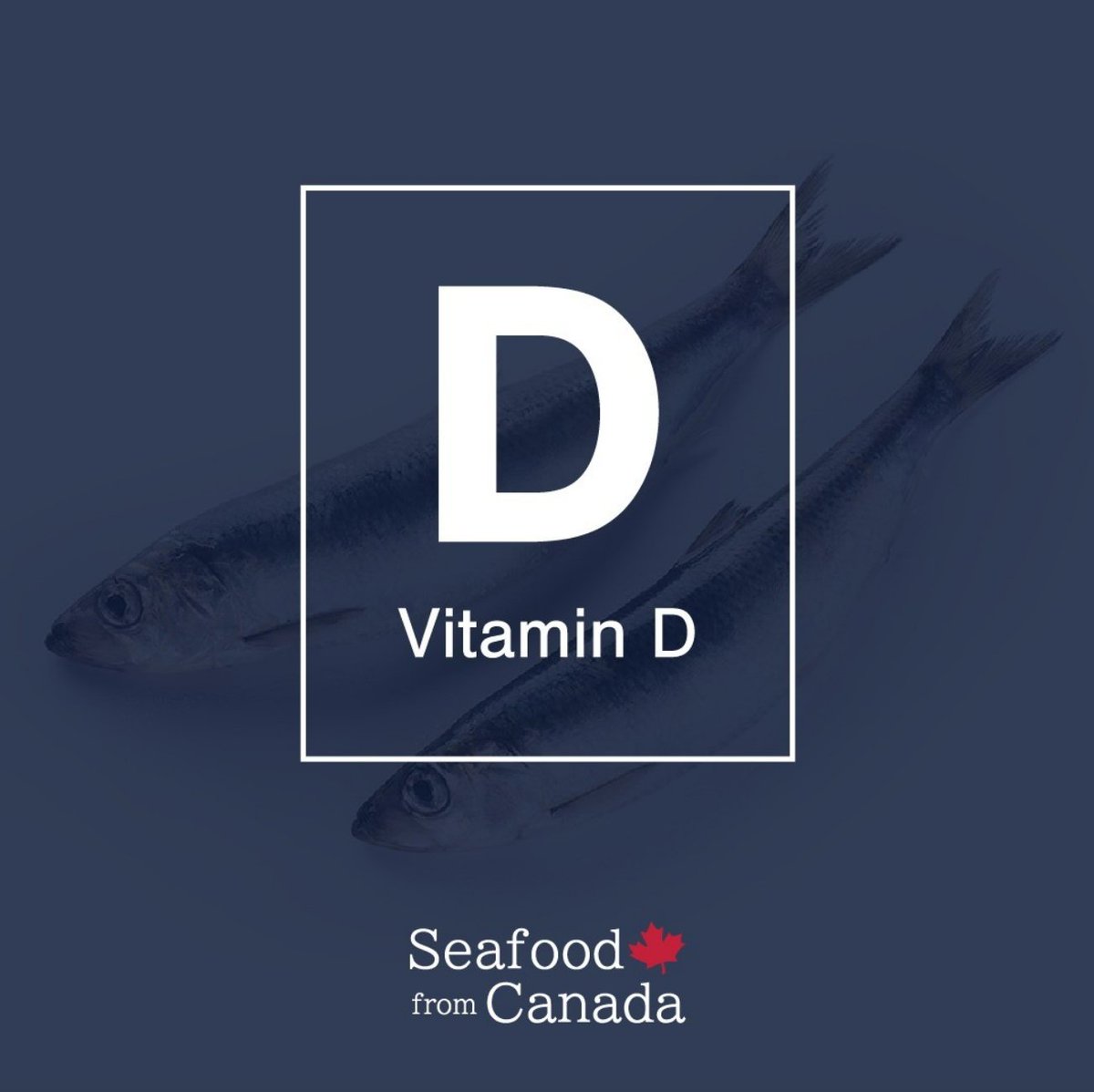 Vitamin D is a vital nutrient that must be present for your body to absorb calcium which helps create strong, healthy bones. It is not naturally occurring in many foods but can be found in fish such as Salmon and Mackerel. 

#SeafoodFromCanada
#TasteTheNorth
#CanadianSeafood