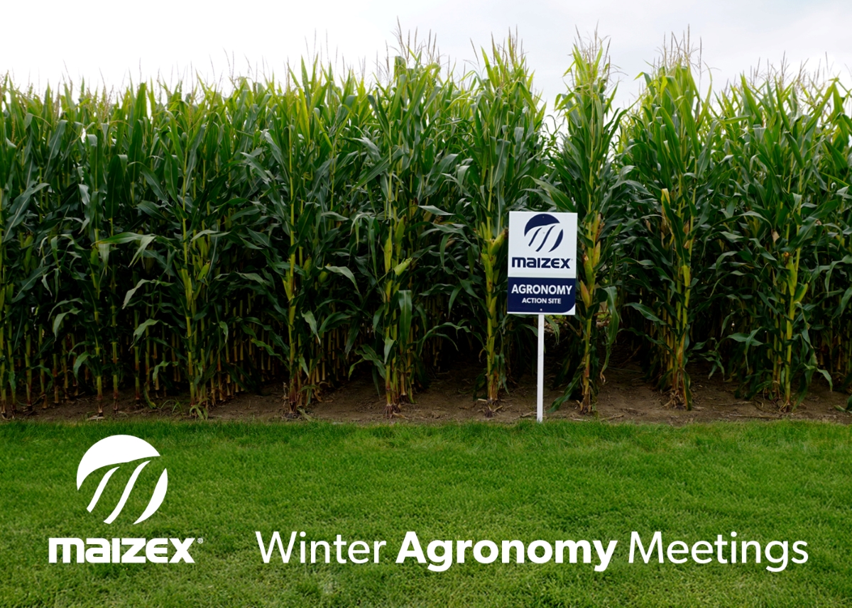 Maizex's tweet photo. Maizex Seeds is hosting 5 in-person Winter Agronomy Meetings this January and February, now with two new dates in Manitoba! Join us for a day of expert insights, all at no cost.👇

To view dates, locations, or register click here: https://t.co/SkqpXvoZKi https://t.co/9SgyNGX0BL