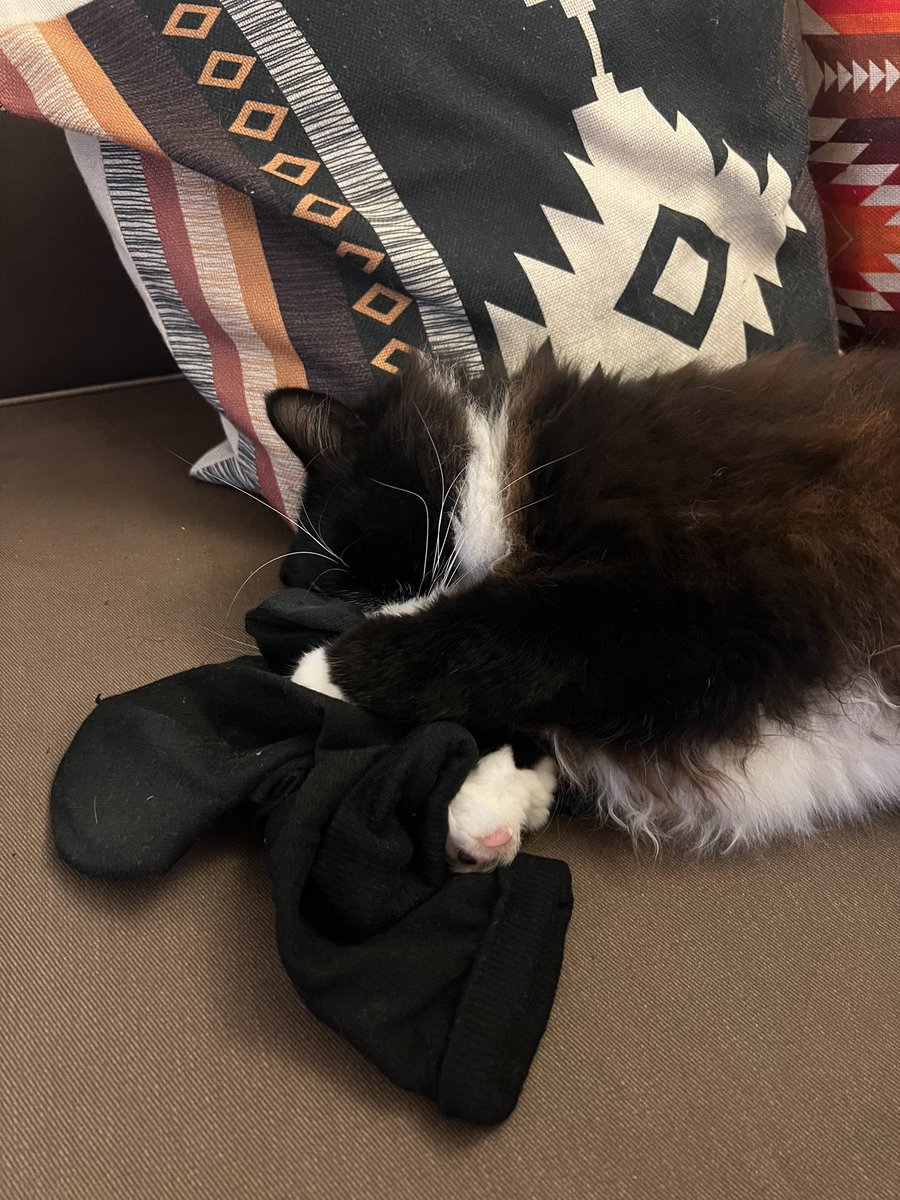 My cat started cuddling up to my used socks in his sleep