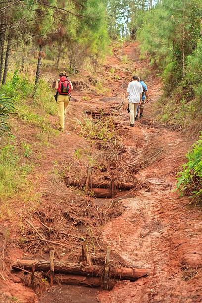 📷 Explora el Sendero El Recreo 📷
Descubre la biodiversidad única del Parque Nacional Alejandro de Humboldt en una aventura inolvidable. 
cuba.travel/destinos/barac… y planifica tu visita.
#DescubreCuba #NaturalezaÚnica #ParqueHumboldt #MinturGuantánamo #UnicaCuba