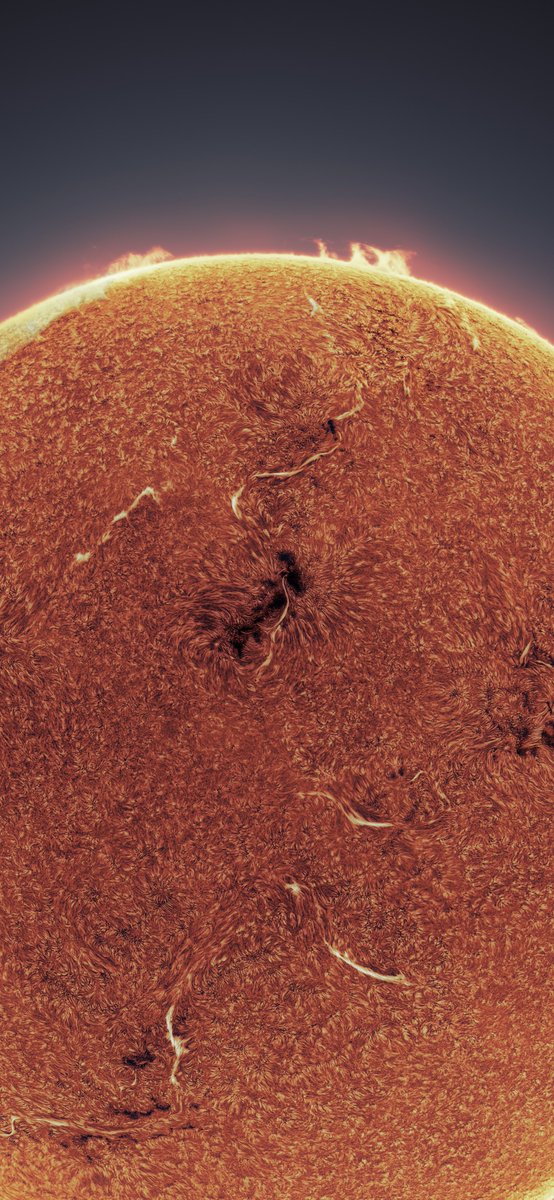 Andrew McCarthy tweet media