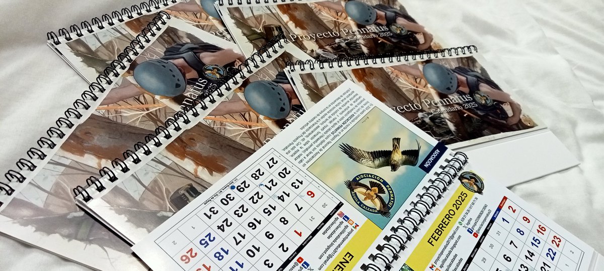 isgdios's tweet photo. ¿Todavía no tienes tu calendario PENNATUS'25? ¿Quieres saber los trabajos que realizamos con el águila calzada? Pide ya tu ejemplar, y además de ayudar a ma conservación de la especie, donarás 1€ a la lucha contra el cáncer infantil https://t.co/1IugTQzOrA