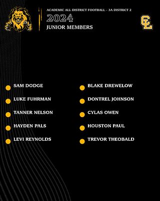 ClearLakeFB's tweet photo. Congratulations to our 2024 Junior Academic All District Football Team Members! These young men do a great job on the field and in the classroom! #LIONS #SMARTLIONS
@CLLionActivity https://t.co/BQplIOUgnL