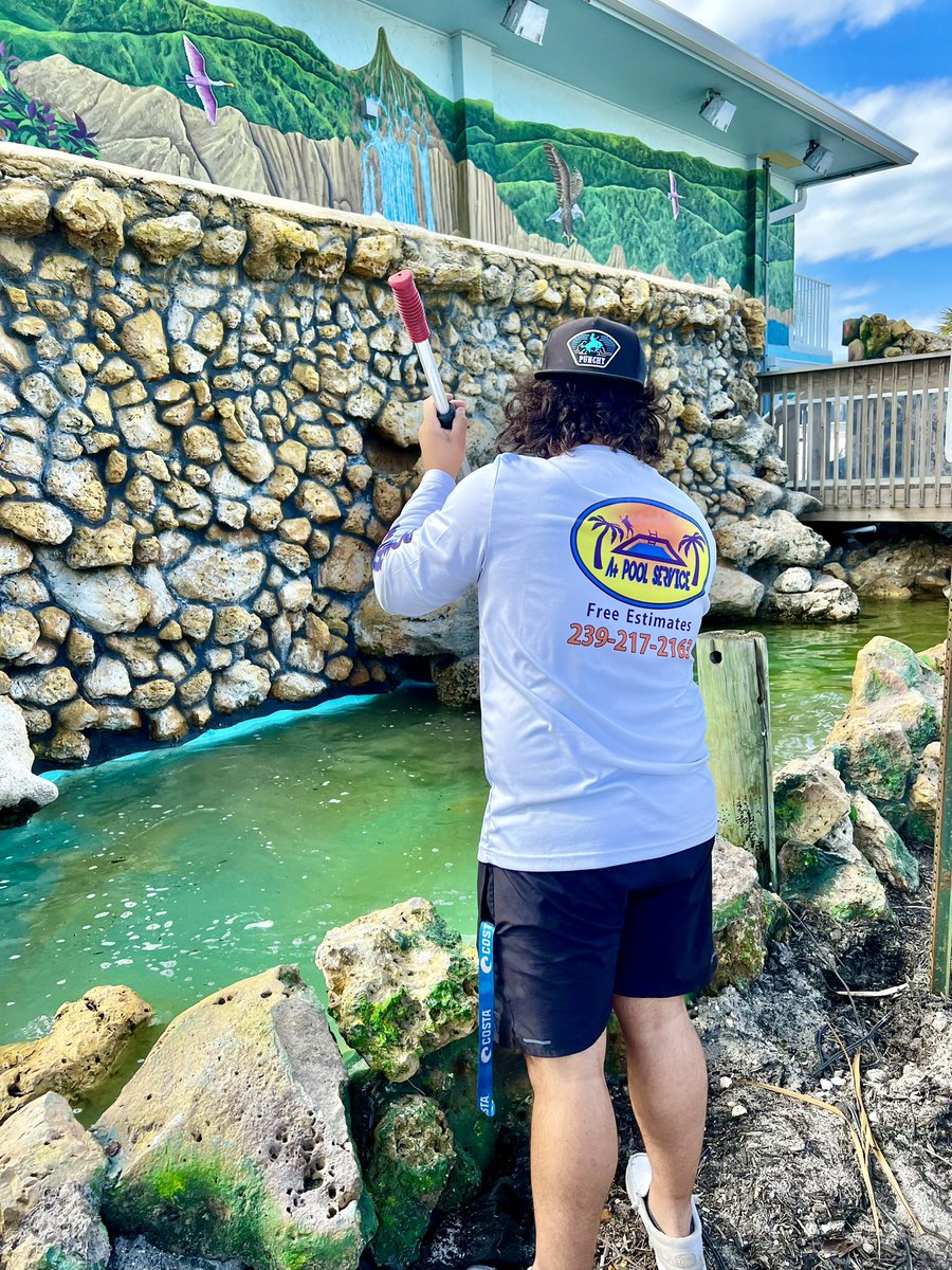 thelanikai's tweet image. 💦🌴🌺 Giving our waterfall reflection pool an extra brushing as we get one step closer… 🧜‍♀️ 

#lanikaistrong #lifeinparadise #thanksforbeinghere #oldflorida #familyownedandoperated #since1978