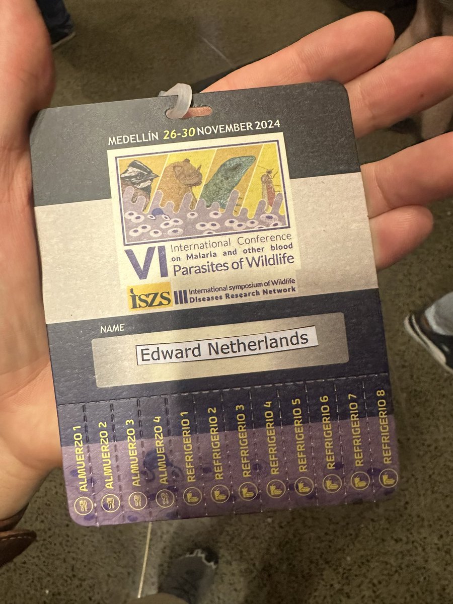 Edward C Netherlands tweet media