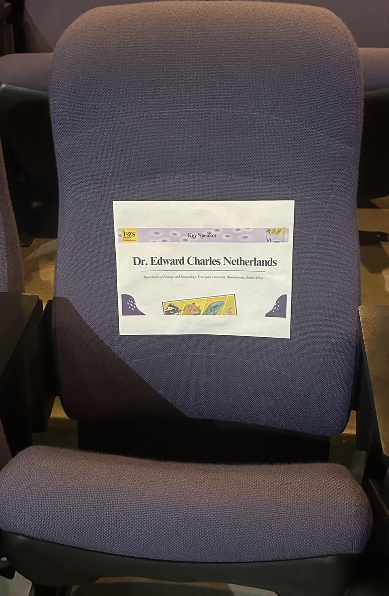 Edward C Netherlands tweet media