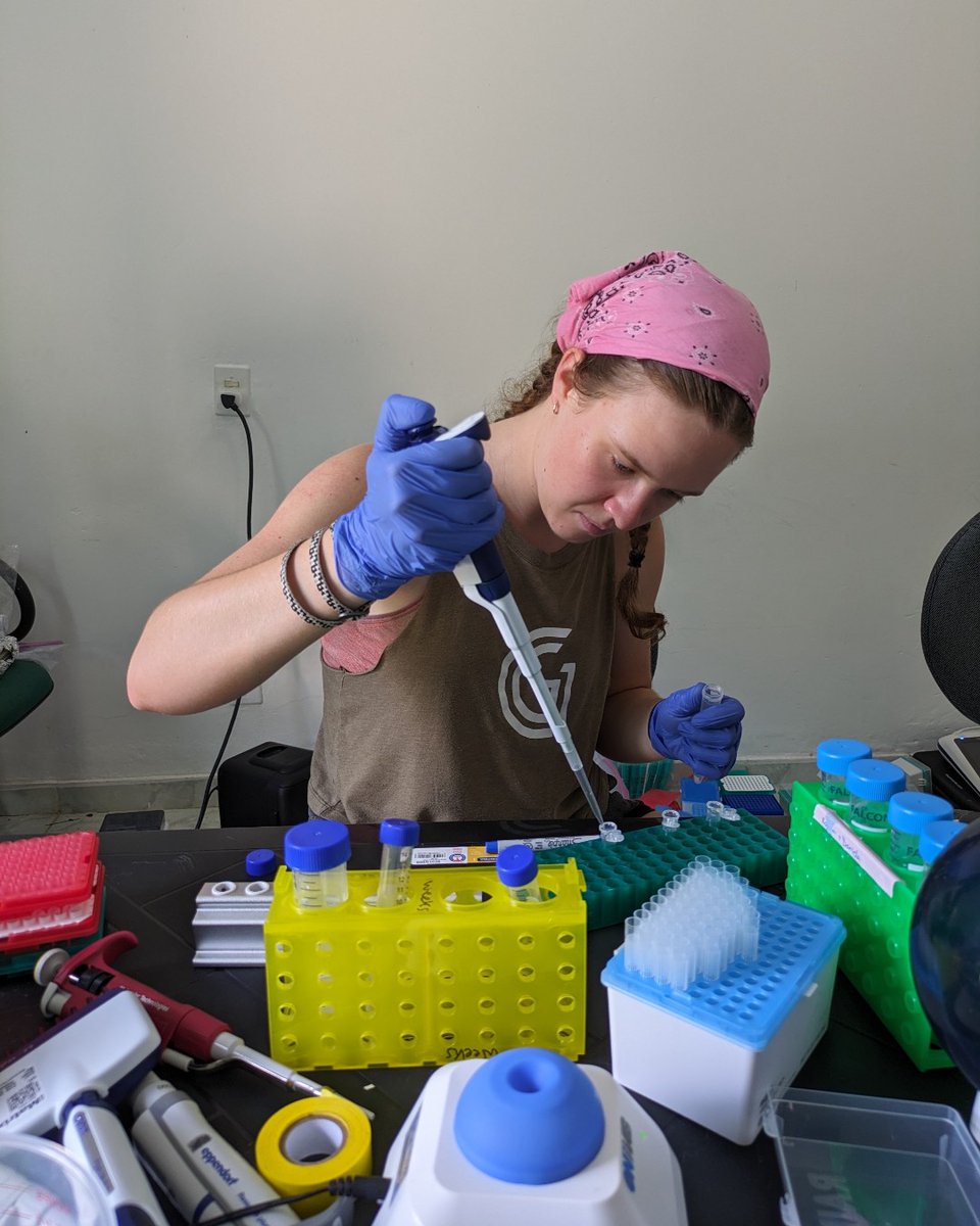 Colorado Mesa University tweet media