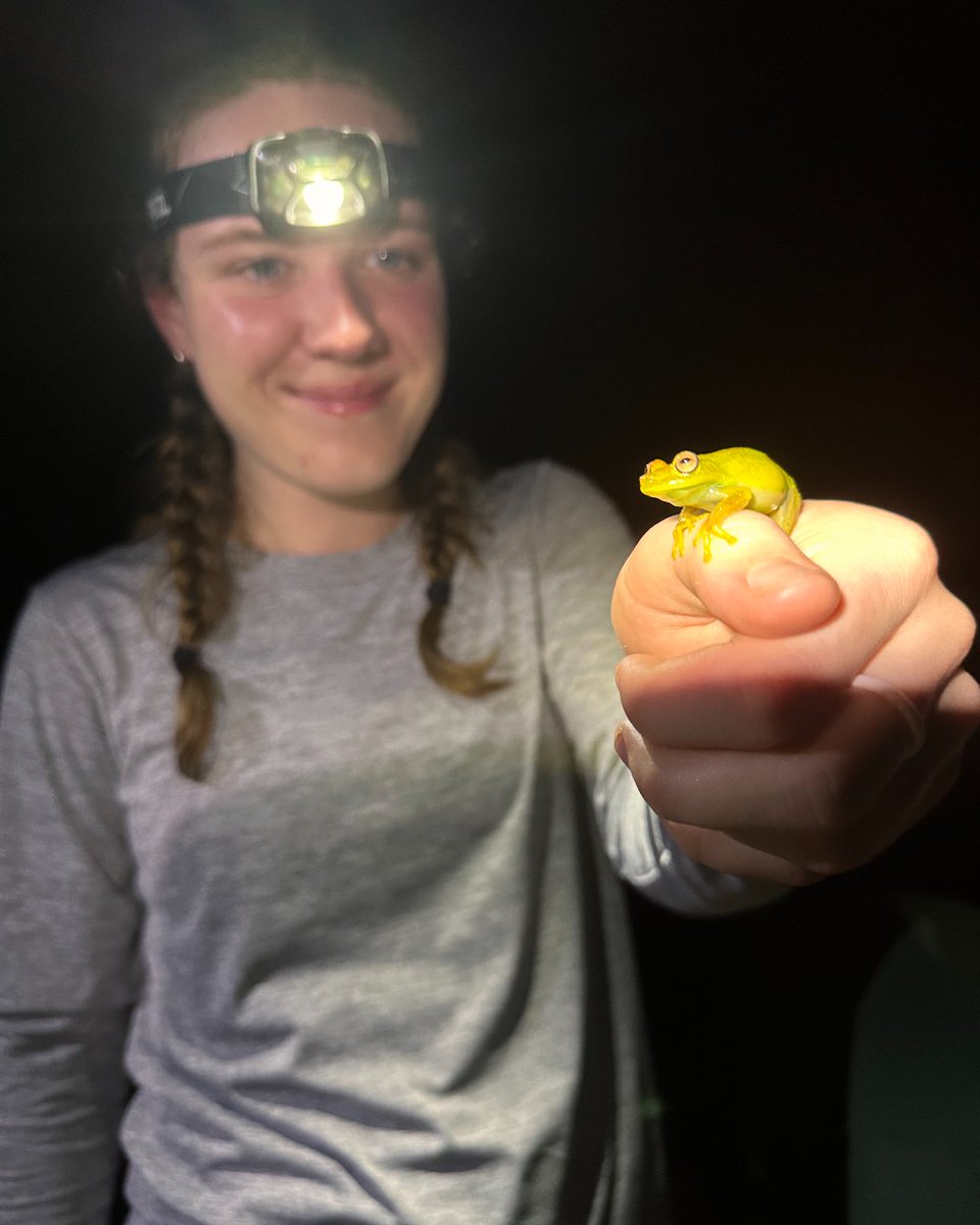 Colorado Mesa University tweet media