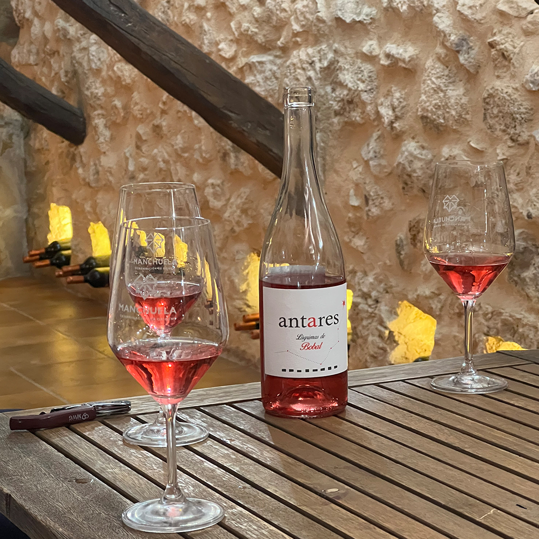 🍇🍷 Descubre La Manchuela, una joya vinícola entre Cuenca y Albacete.

Descubre bodegas como Señorío del Júcar y Antares, y disfruta de la gastronomía local en Guisos El Lobo y Eliá.

Este martes a las 22:30 h, nuevo programa de <a href="/VariotintoCMM/">Variotinto</a>.