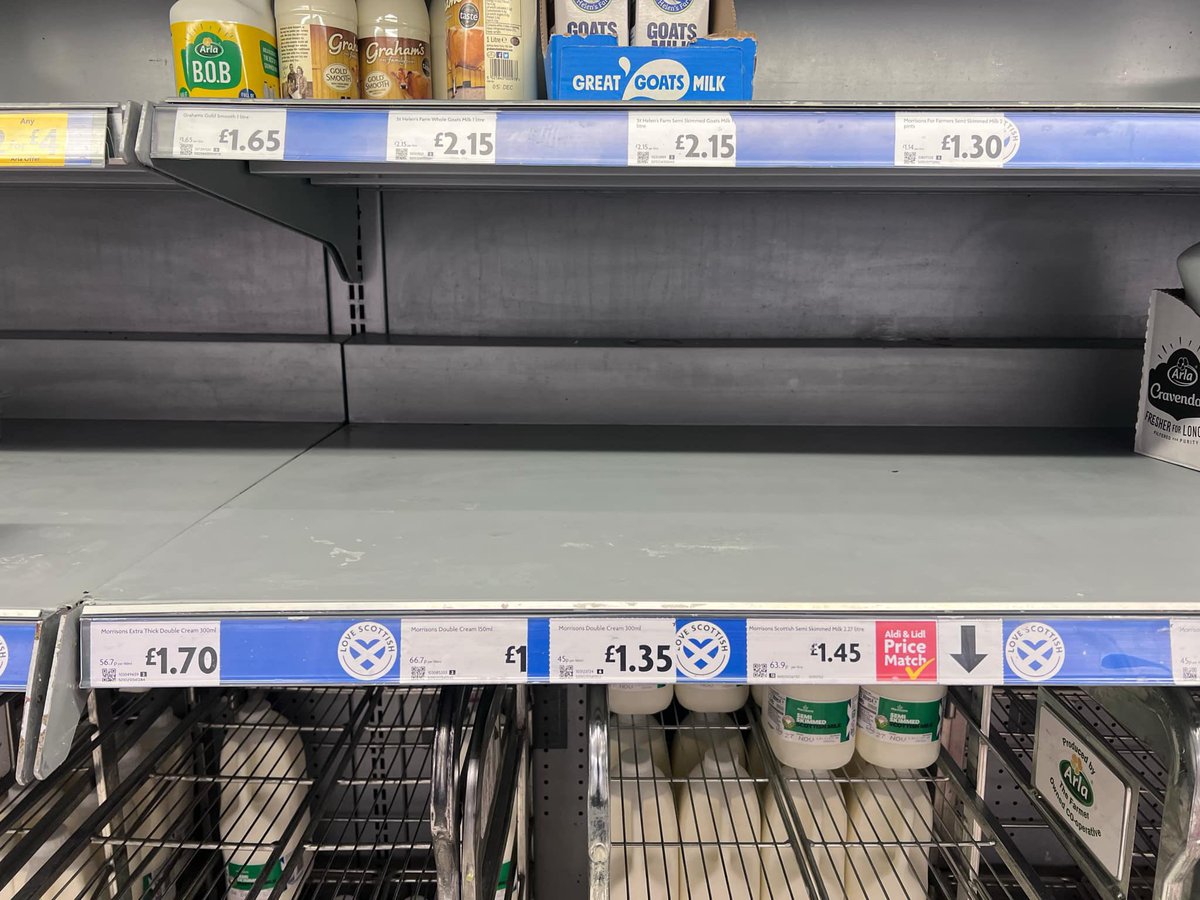 swiveleyedterf💚🤍💜 tweet media