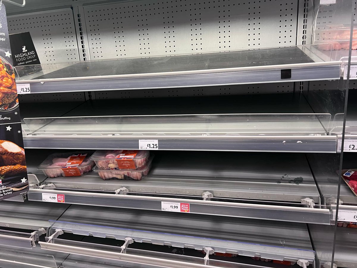 swiveleyedterf💚🤍💜 tweet media